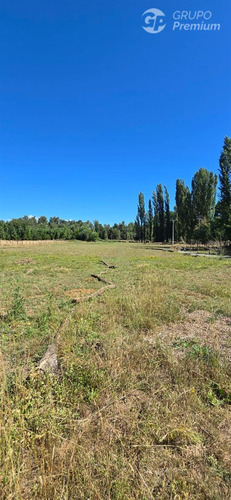 Parcela De 5000mts2 En Venta En Sector Los Junquillos