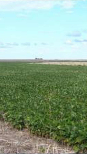 Imagen 2 de 13 de 2.500 Hectáreas Mixtas ( Duraznos. Uruguay ).