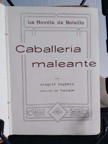 Caballeria Maleante, Los Ladrones Y El Amor, Novela Erótica