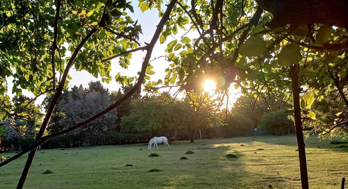Imagen 6 de 8 de Hermoso Lote En Tortuguitas En Zona De Quintas