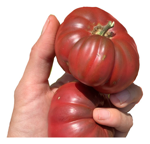 Semillas Organicas - Tomate Purple Cherokee