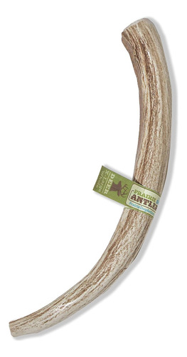 Prairie Dog | Deer Antler Chew | Naturally Shed - Hand Harve