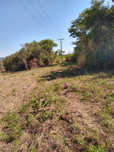 Imagem 5 de 13 de Fazendinha Em Esmeraldas - 1757