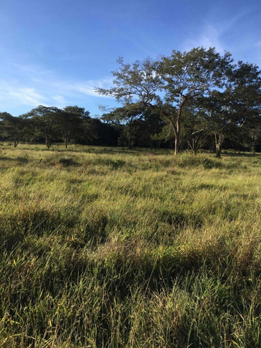 Imagem 4 de 13 de Fazenda Dupla Aptidão Estado De São Paulo