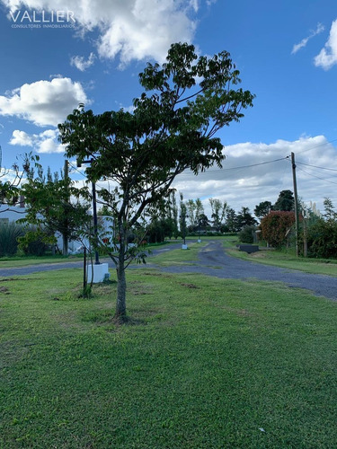 Terreno Lote En Venta En Arrecifes, Resto De La Provincia, Buenos Aires