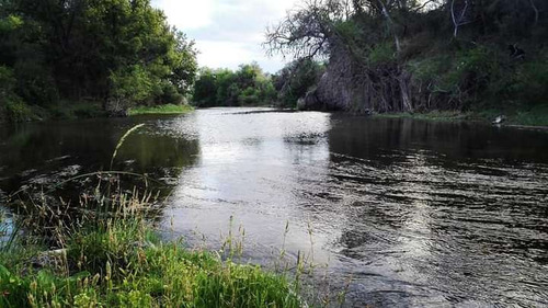 Venta Campo Quines