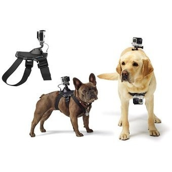Arnes Gopro Para Mascota