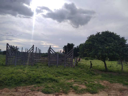 Imagen 7 de 19 de Finca De 1.410 Has En Guarico Para Actividad Agropecuaria.