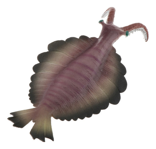 Juguetes Realistas De Animales Marinos Anomalocaris