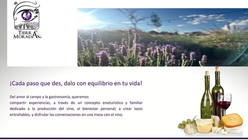 Venta De Terrenos Con Corredor Vinícola En Bernal