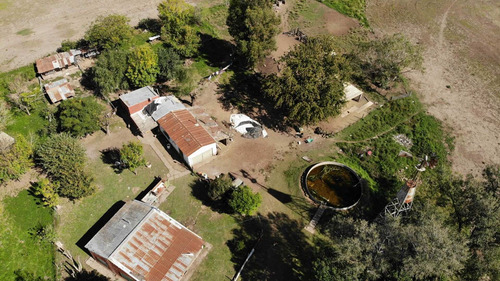Imagen 22 de 25 de Venta Campo 83,3 Hectareas Agrícolas En Lima