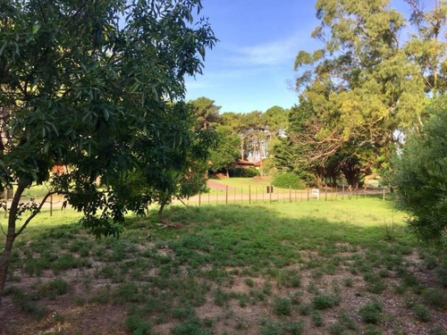 Imagen 5 de 14 de En Venta Dos Lotes A 200 Metros Del Mar En Pinamar.