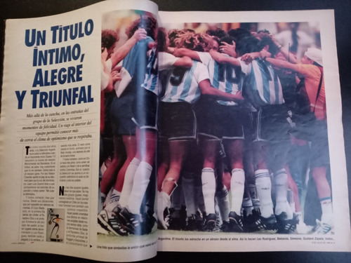 El Gráfico 3848 Argentina Campeón 1993 C Póster Banfield E (Usado)