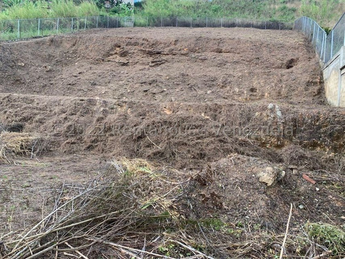 Imagen 8 de 9 de Terreno En Venta - Javier Merino