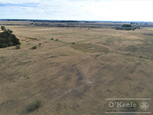 Imagen 11 de 18 de 33 Has En Venta - Chacra Agrícola Con Excelente Acceso