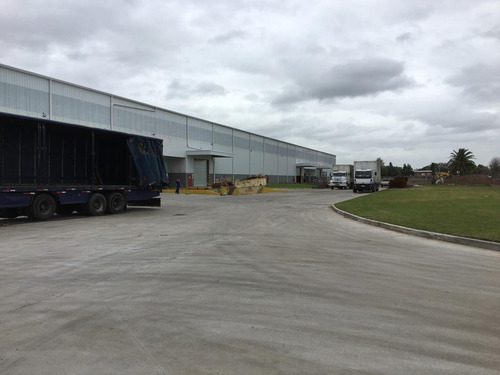Imagen 6 de 7 de Alquiler Depósito 5.000 M2 Logísticos Excelente Estado