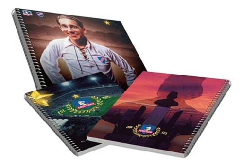 Pack 10 Cuadernos De Colo Colo