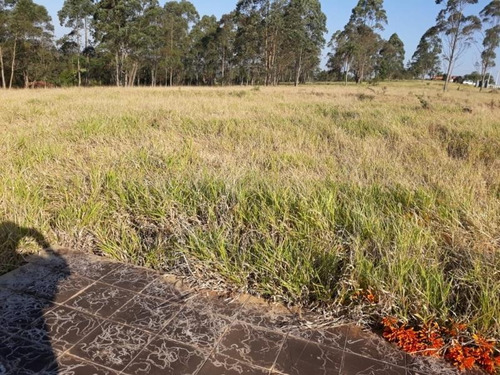 Imagem 3 de 4 de Ref.: 17352 - Area Em Ibiúna Para Venda - 17352