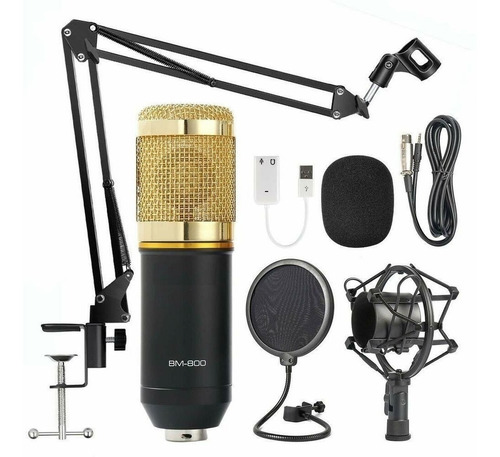 Microfono Condenser Bm-800 Estudio Karaoke Locucion Brazo