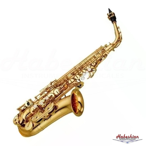 Saxo Alto Lincoln Winds - Estuche + Accesorios - En Palermo