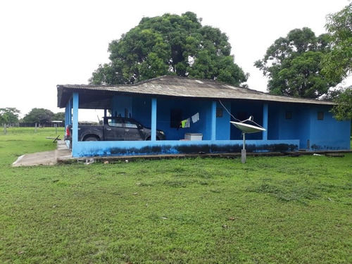 Vendo Fazenda De 1700hec Pecuaria/cultura Em Roraima (6096)