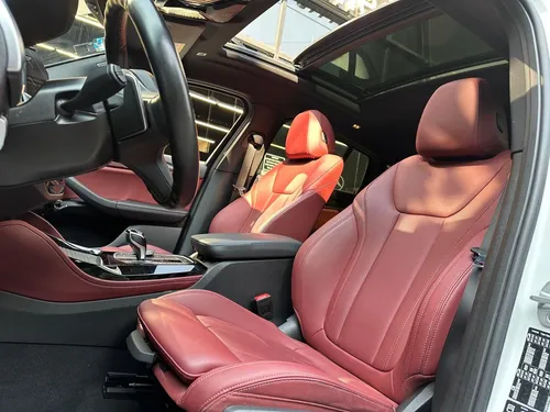 BMW X4 2.0 Xdrive30I X Line At