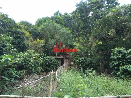 Imagem 4 de 15 de Sítio Com 2 Dorms, Parque Itaporanga, Santa Maria Madalena - R$ 480 Mil, Cod: 2457 - V2457