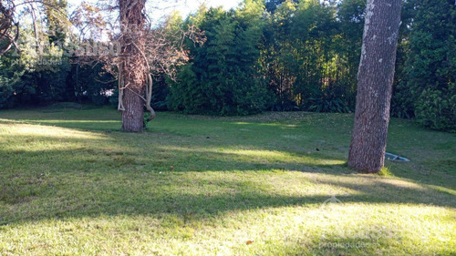 Imagen 2 de 3 de Casa - San Rafael Terreno Con Casa En Venta - Ideal Inversores