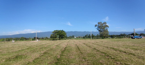 Imagen 10 de 14 de Terreno En Venta En Las Cañas