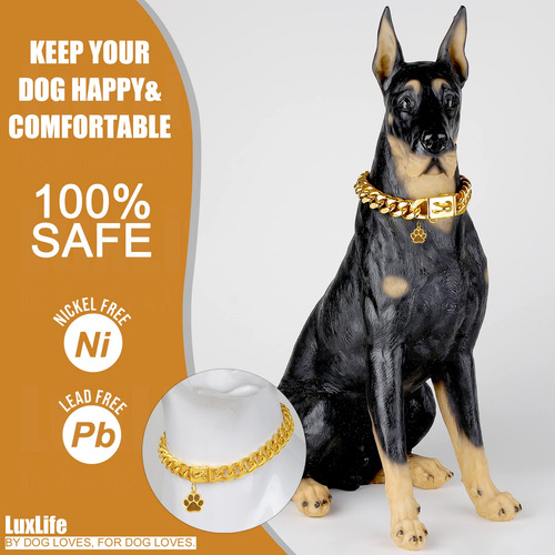 Collar De Perro Cuban Link Gold De Luxlife Collar De Perro
