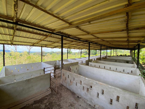 Imagen 5 de 13 de Finca En Venta San Juaquin De Navay