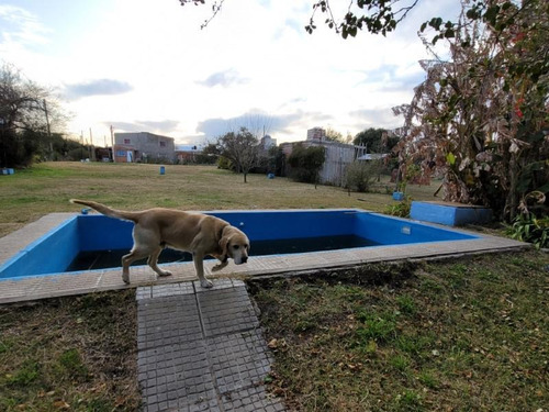 Imagen 11 de 26 de Casa Quinta Con Pileta, Y Amplio Terreno Parquizado
