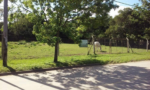 Imagen 3 de 6 de Terreno En Venta En Villa Lía