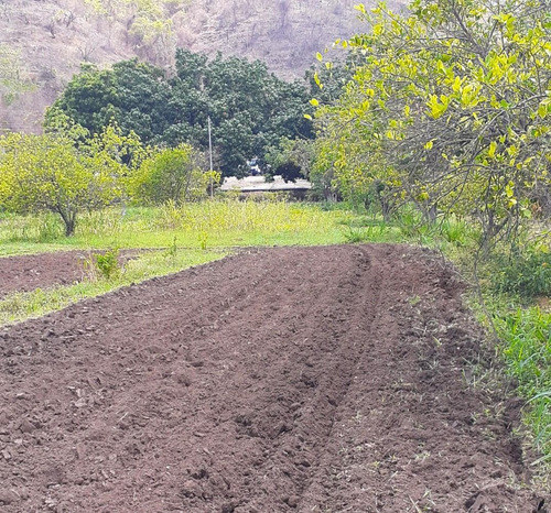 Imagen 14 de 14 de Galpon Con Terreno Venta Mariara Carabobo Inmobiliaragua