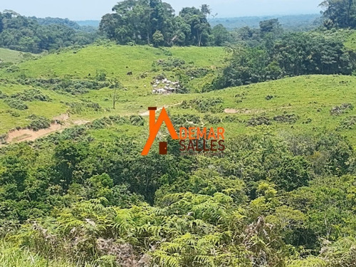 Imagem 2 de 30 de Fazenda - Fa00009 - 70715964