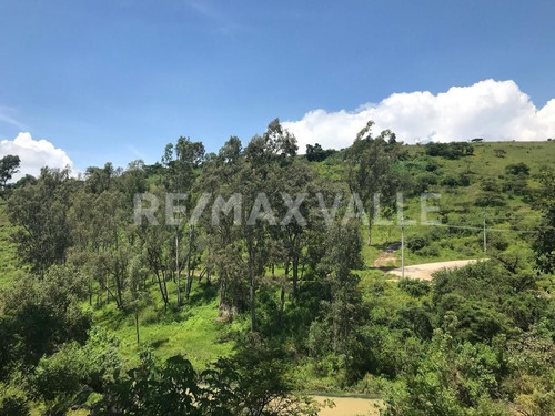 Imagen 11 de 14 de Terreno En Venta
