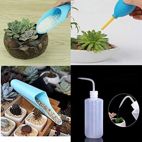 Wesdxc 15 Piezas Herramientas De Plantas Suculentas, Mini He