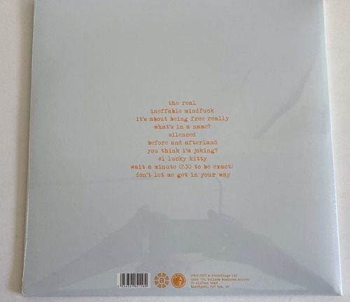 Lp -the Brian Jonestown Massacre -fire Doesn't Grow On Trees