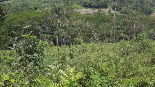 (k.a) Corra Antes Que Acabe - 1.000m2 Confira Lotes Fechados