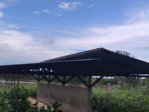 Imagen 4 de 19 de Finca De 1.410 Has En Guarico Para Actividad Agropecuaria.