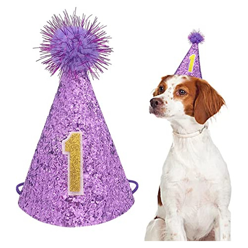 Pet Show Sombrero De Fiesta De Primer Cumpleaños Para Perro