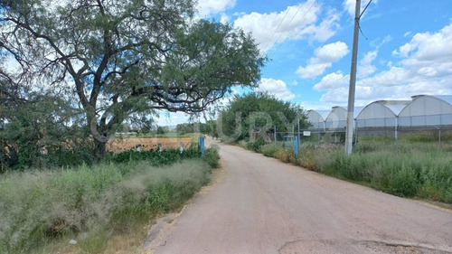 Terreno Rustico En Venta En Rincon De Romos