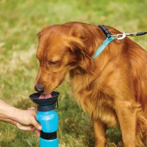 12 X Botella Agua Mascotas Perros Portail