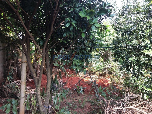 Chácara À Venda Em Condomínio Chácara Grota Azul - Ch267927