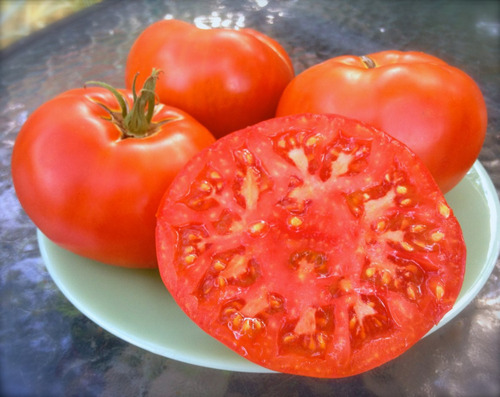 Tomate Gigante Beefsteak - 40 Sementes Para Mudas Heirloom
