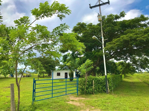 Imagen 1 de 19 de Finca En San Carlos Cojedes, Venta De Finca En San Carlos