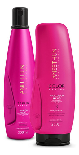 Kit Shampoo Finalizador Proteção Color System Aneethun