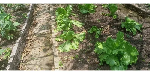 Finca En Vender En Medellín