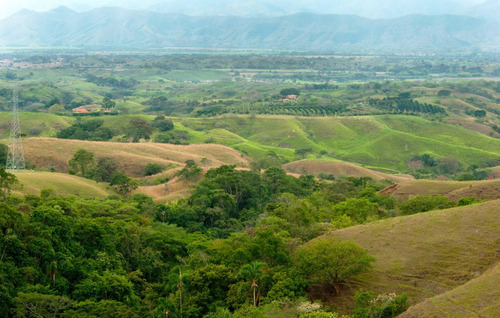 Imagen 4 de 20 de Venta Lotes 10000m2 Via Cerritos A Cartago Cerca A Pereira