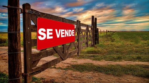 Campo 30 Hectareas - Miramar - Paraje Santa Irene